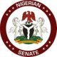 Nigeria: Senate Raises Alarm Over Missing 4,000 Police Firearms